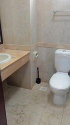 Tanglin Regency (D10), Condominium #462569801
